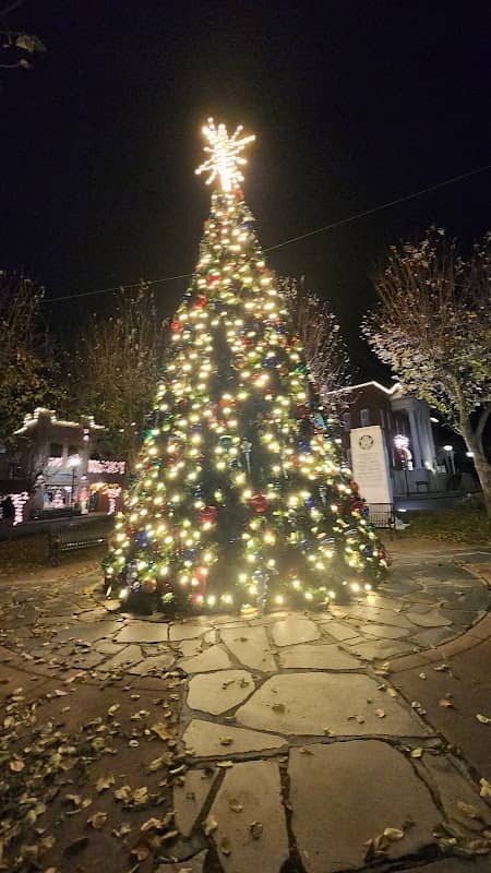 Ellijay Circle - Image 1