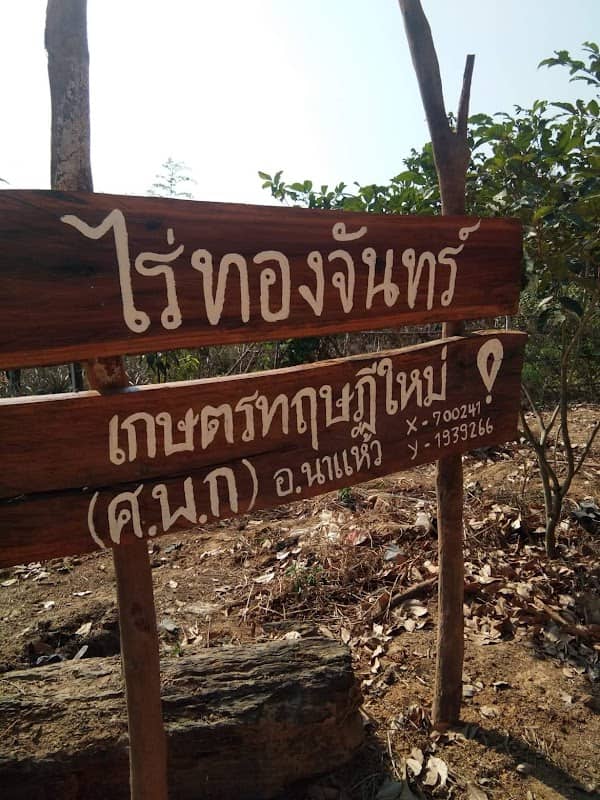 ไร่ทองจันทร์ - Image 1