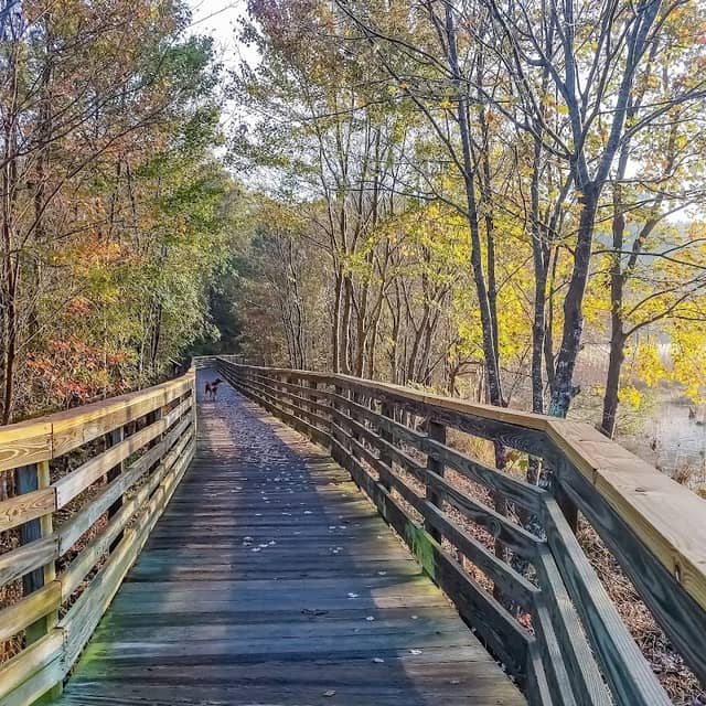 Greensprings Interpretive Trail - Image 2