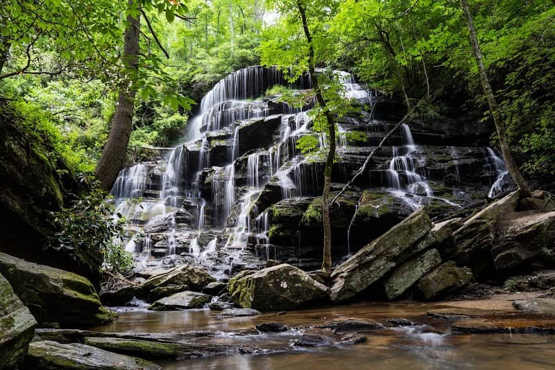 Yellow Branch Falls Trail - Image 1