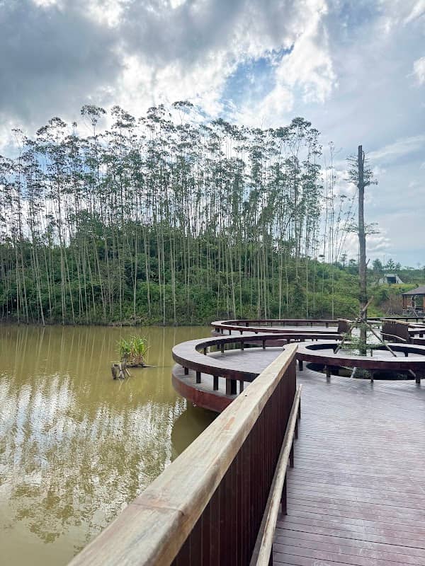 Viewing Deck - Image 1