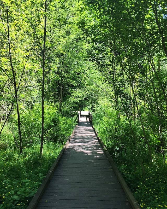 Grace Cole Nature Park - Image 2
