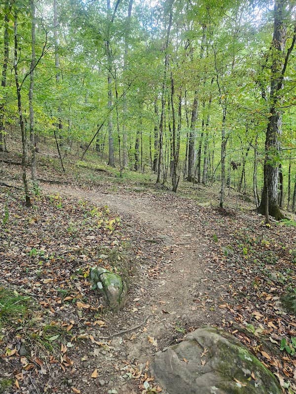 Black Creek Mountain Bike Park - Image 2