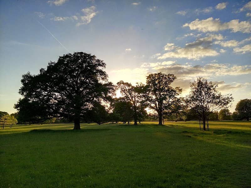 Warnham Park - Image 1
