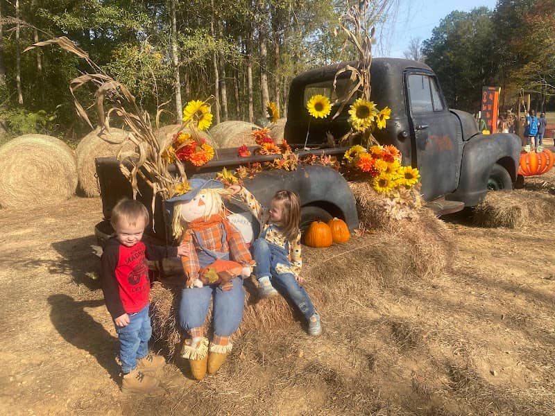 C & W Farm Pumpkin Patch - Image 1