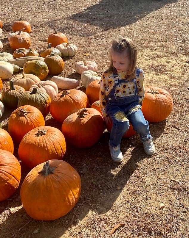 C & W Farm Pumpkin Patch - Image 2