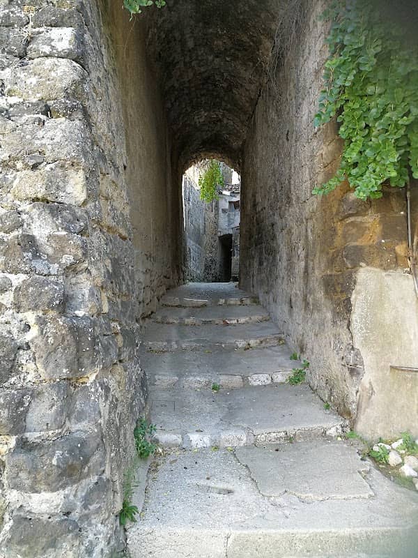 Vico Ortolani - Image 1