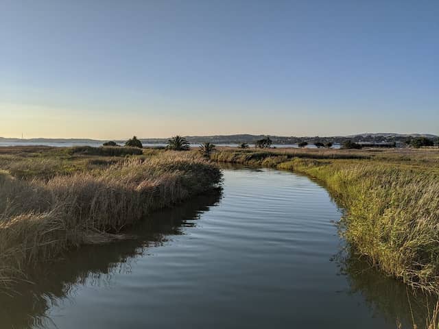 Radke Martinez Regional Shoreline Park - Image 2