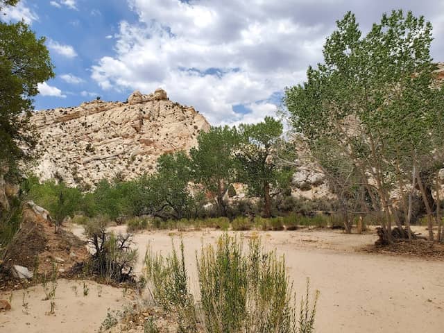 Lower Hackberry Canyon Trailhead - Image 2