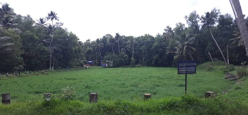 Kurni kulam - Image 1