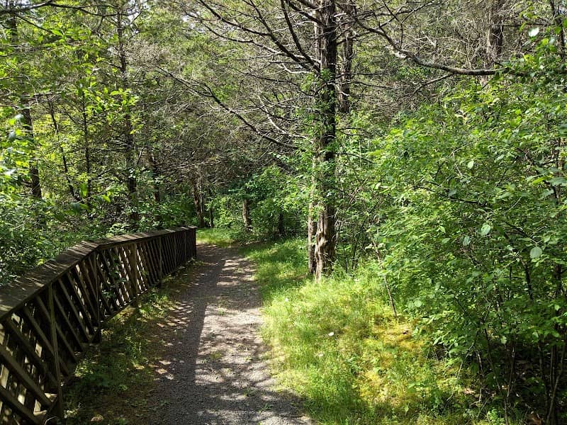 Four Mile Point Preserve - Image 2