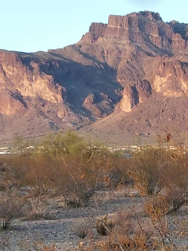 The Cougar's Shadow Viewing Site - Image 1