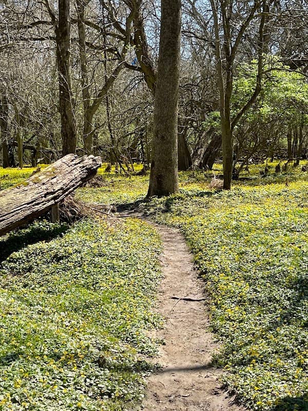 Glenn Thompson Reserve - Image 1