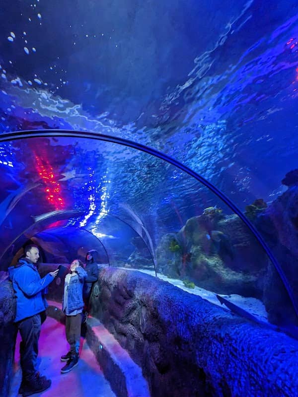 SEA LIFE Loch Lomond Aquarium - Image 1