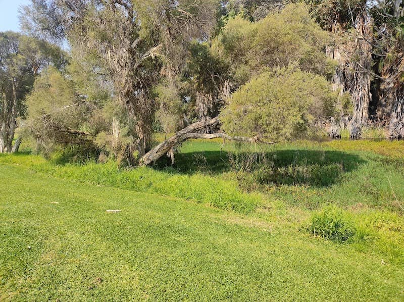 Mosedale Park - Image 1
