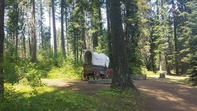 Emigrant Springs State Heritage Area - Image 1