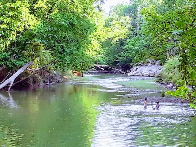 Armuchee Park - Image 1