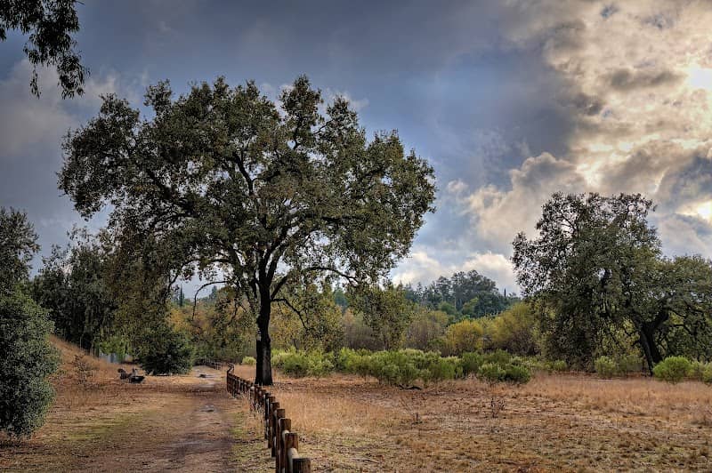 Ojai Meadows Preserve - Image 2