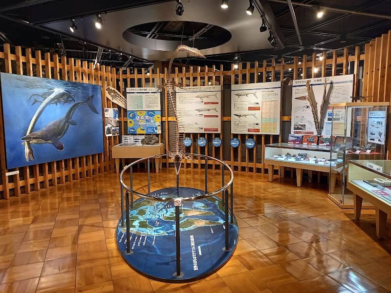 Kishiwada Nature Museum - Image 1