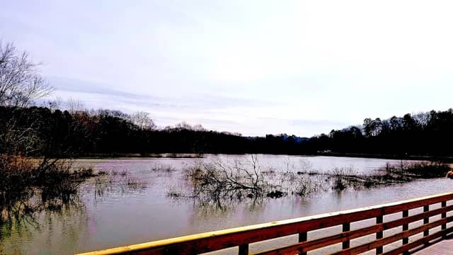 Nature reserve - Image 1