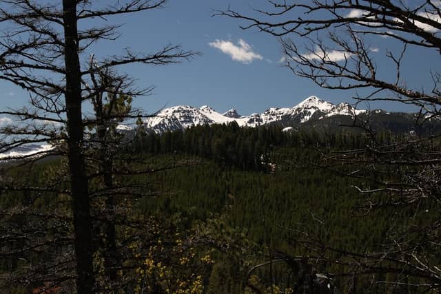 Moser Creek Trailhead - Image 3
