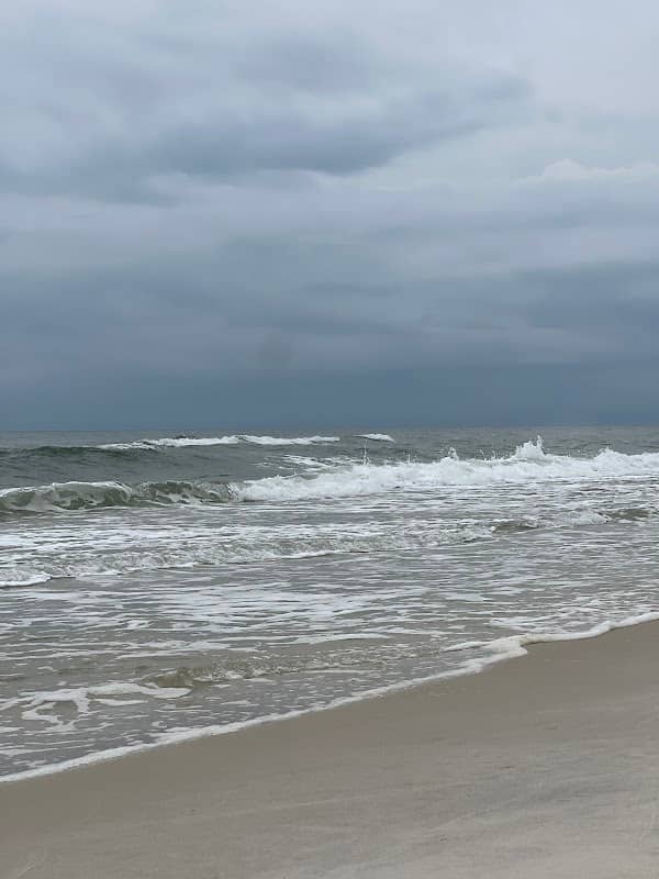 Coastal Beach - Image 2