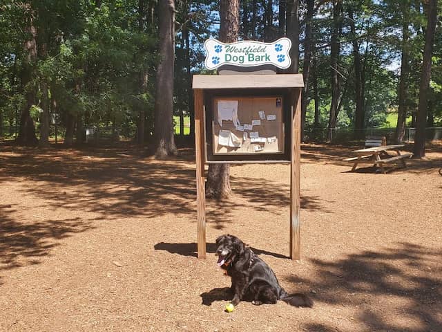 Westfield Dog Bark - Image 1