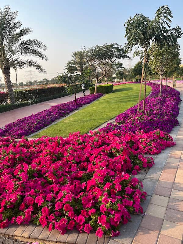 Al Khawaneej Pond Park - Image 2