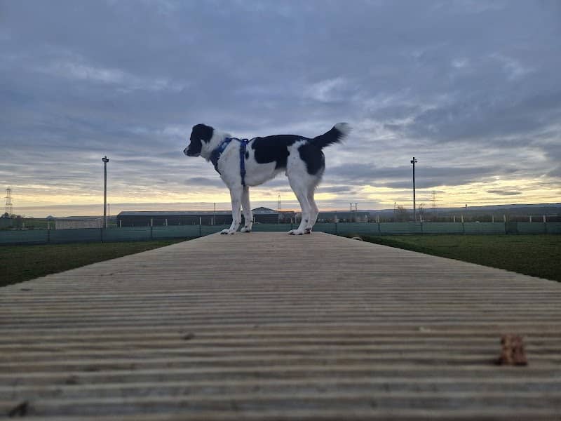 Unleashed Dog Parks - Midlothian - Image 1
