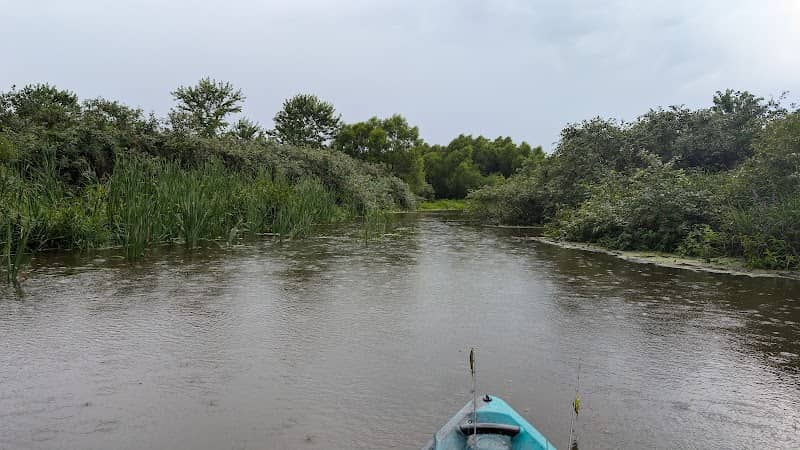 Momence Wetlands Nature Preserve - Image 2