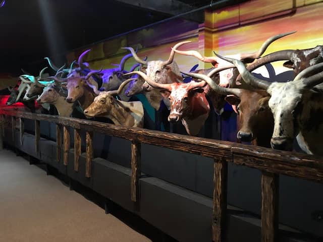 Butler Longhorn Museum - Image 2