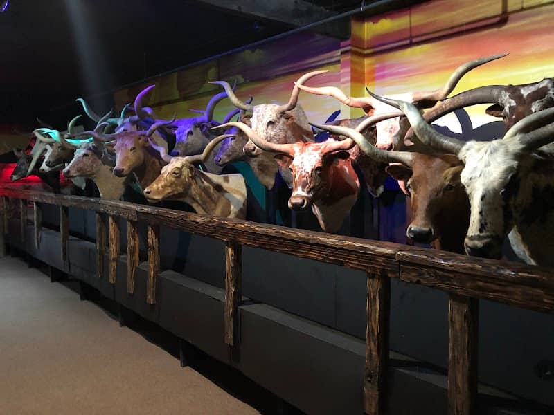 Butler Longhorn Museum - Image 2