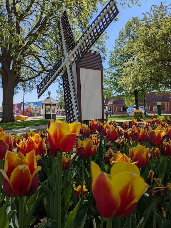 Windmill Park - Image 1