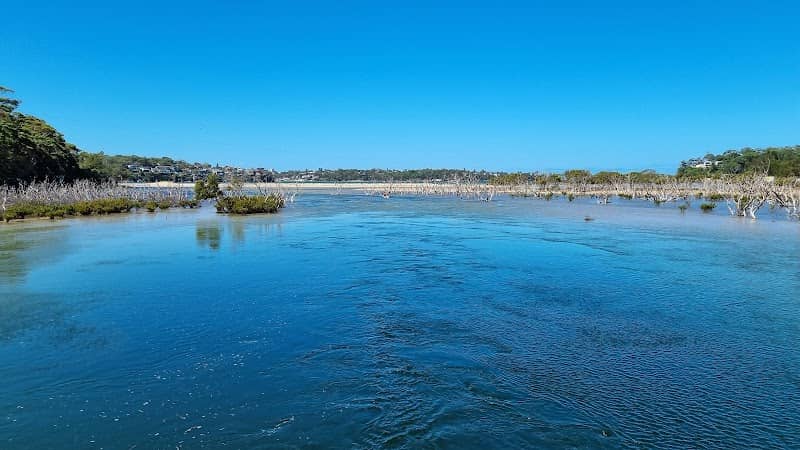 Bonnie Vale Bridge - Image 1