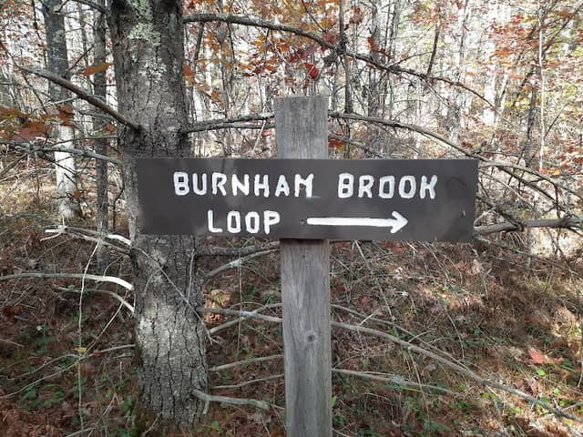Hutchins Forest - Image 1