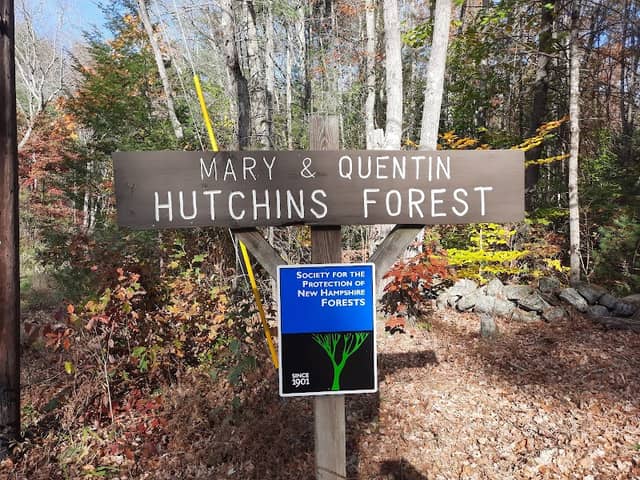 Hutchins Forest - Image 2