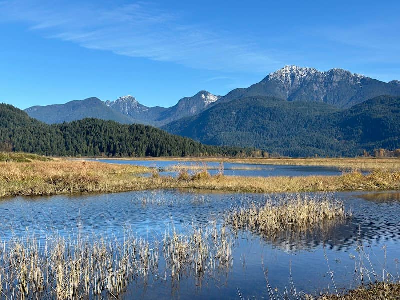 Widgeon Marsh Regional Park - Image 1