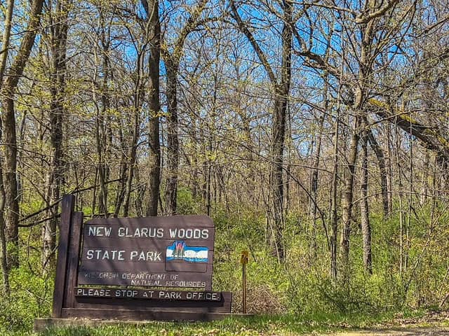 New Glarus Woods State Park - Image 2