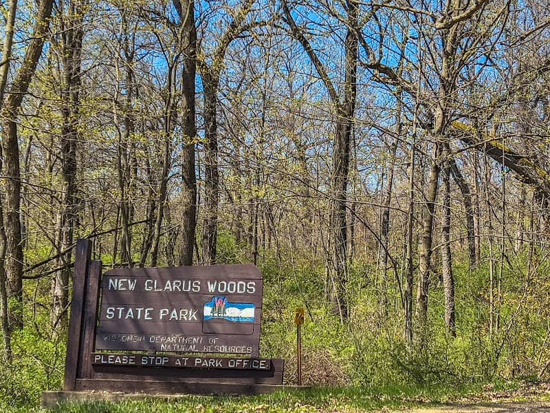 New Glarus Woods State Park - Image 2