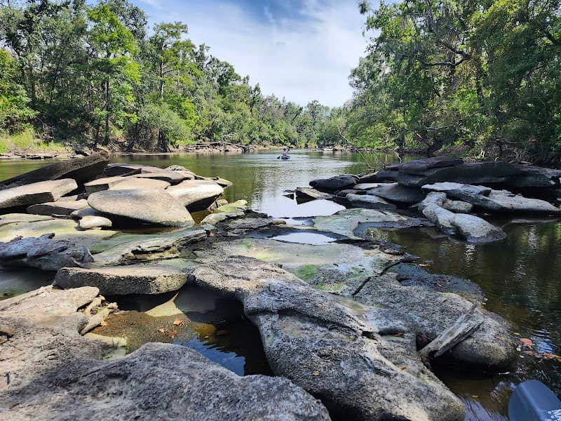 Twin Rivers State Forest - Image 2