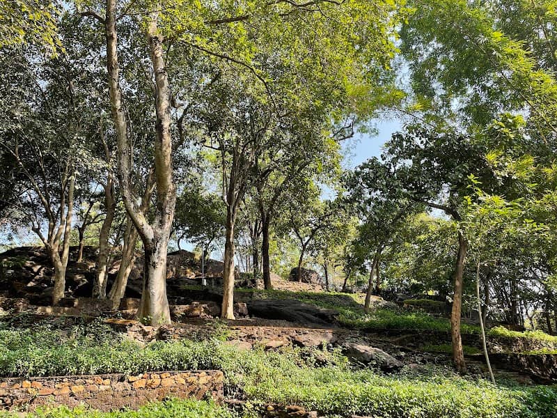 Rock Garden - Image 1