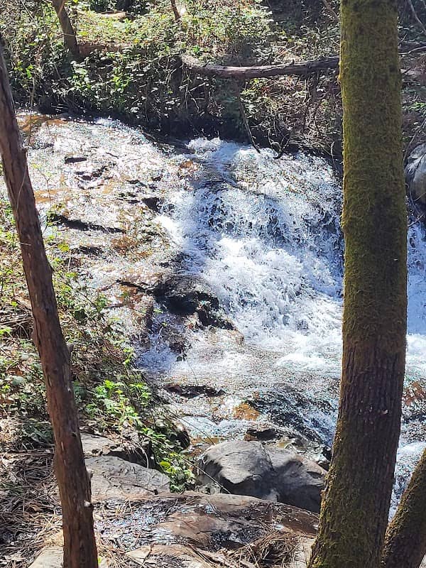Wolf Creek Trail - Image 1