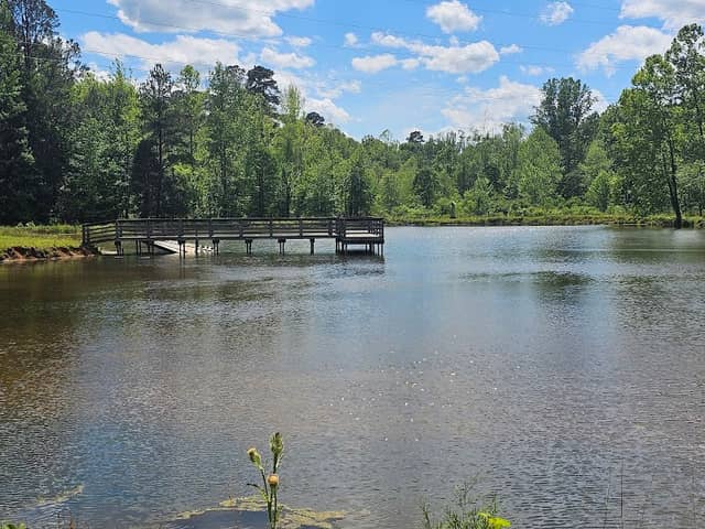 Brumley Forest Nature Preserve - Image 2