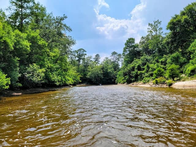 Black Creek Wilderness - Image 2