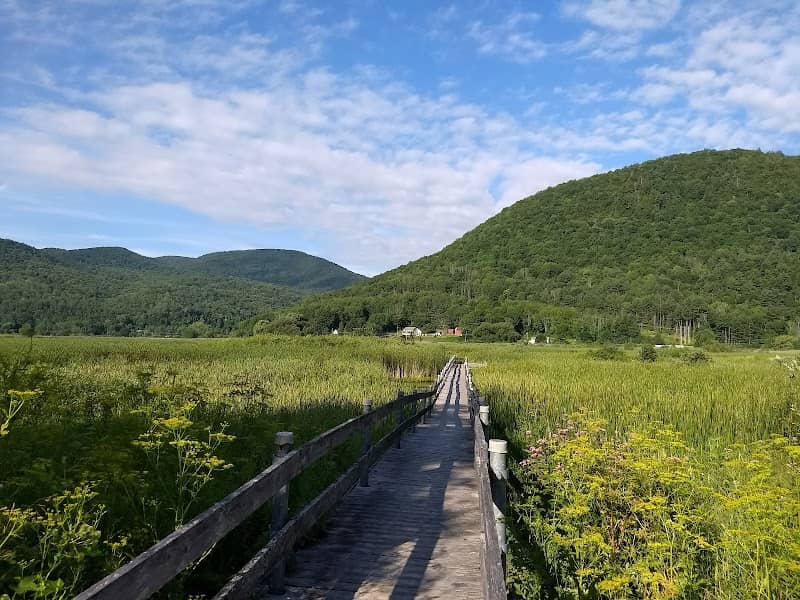 West Rutland Marsh - Image 2