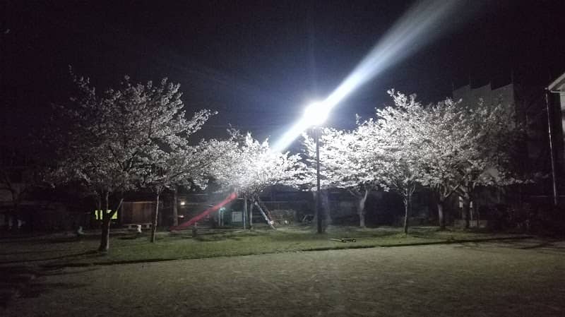 Oka Park - Image 1