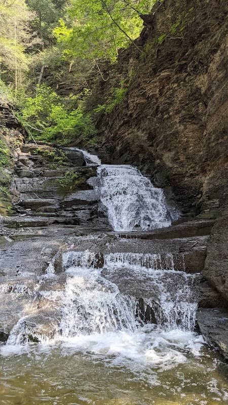 Conklin's Gully - Image 1