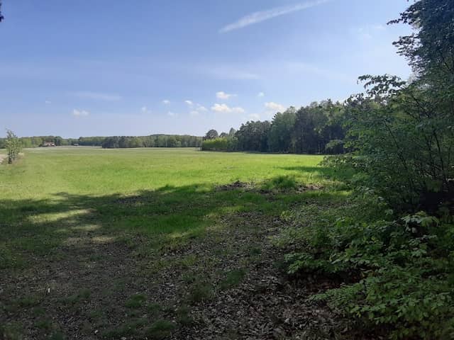Calauer Schweiz - Image 3