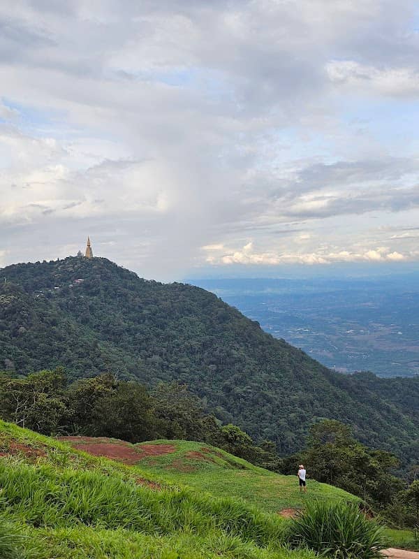 ไร่ละอองหมอก ภูทับเบิกสวนดอกไม้&คาเฟ่ - Image 1