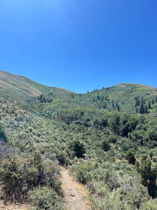 Kinney Creek Trailhead - Image 1